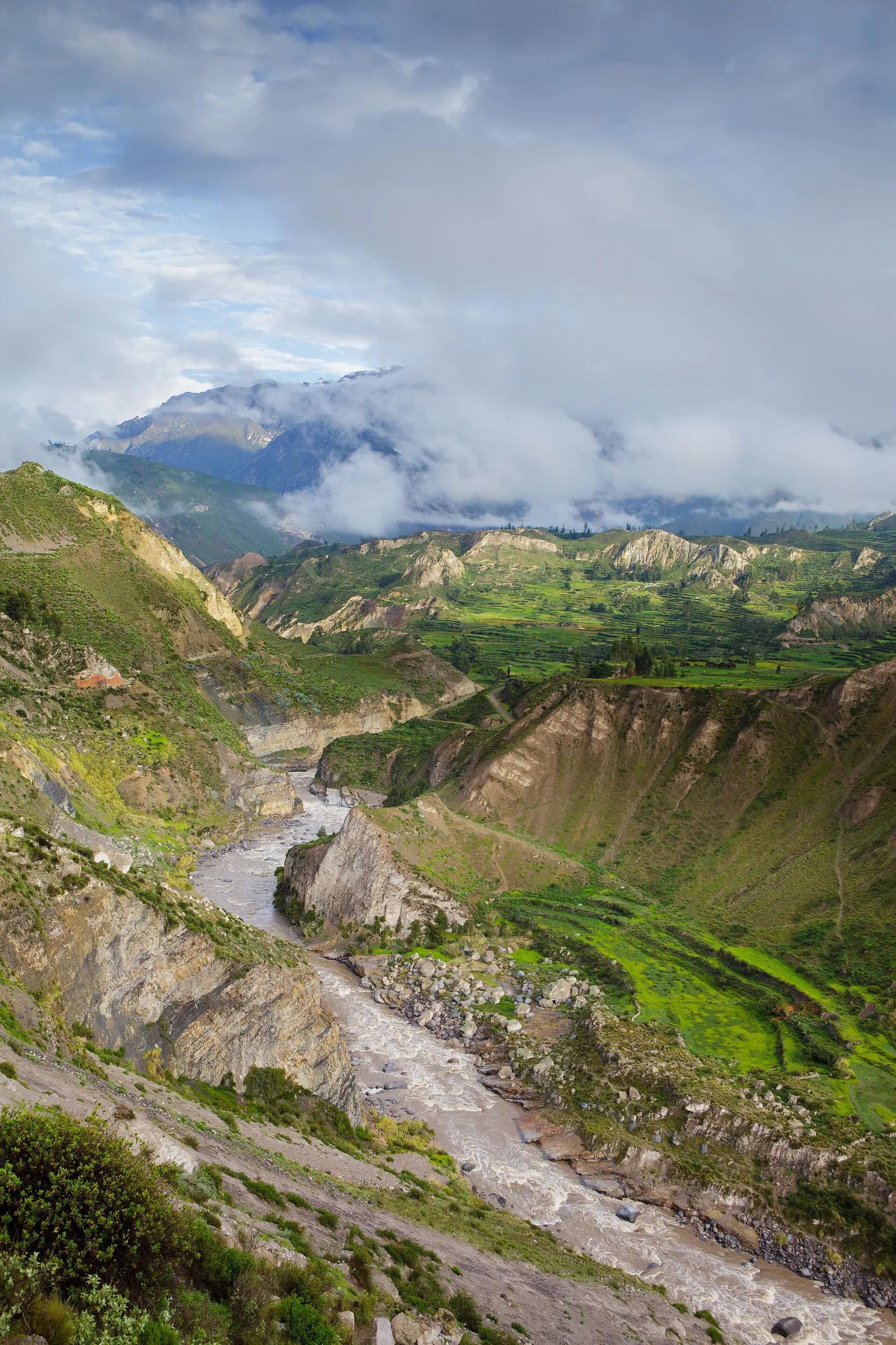 Río Colca entre laderas y andenerías del cañón