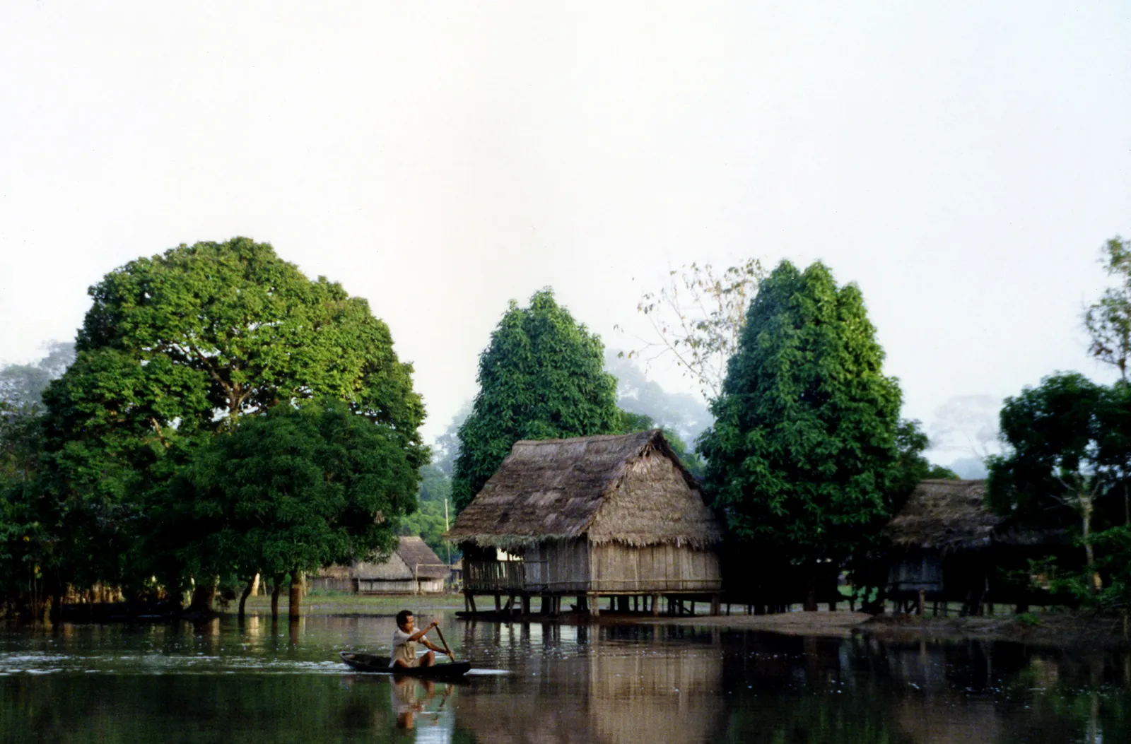Viviendas de madera, árboles y una canoa en el entorno fluvial de las afueras de Iquitos, Maynas
